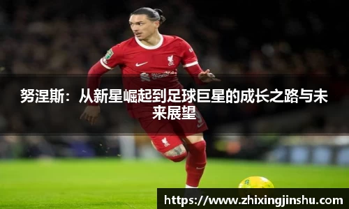 努涅斯：从新星崛起到足球巨星的成长之路与未来展望