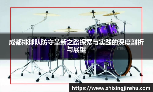 成都排球队防守革新之路探索与实践的深度剖析与展望